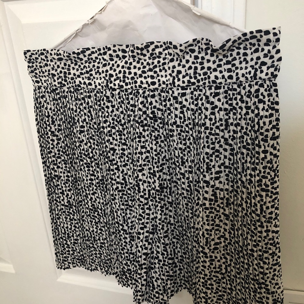 Express shorts